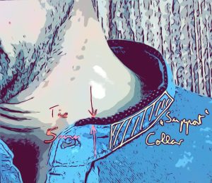 Stand-up collar addition